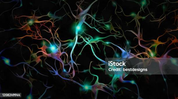 Neurons Stock Photo - Download Image Now - Nerve Cell, Physiology, The Human Body