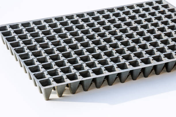 istock Black plastic seedling cassettes for vegetable crops. 1208250180