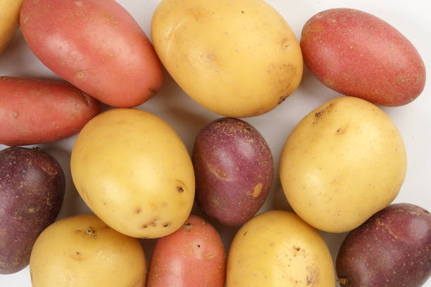 istock small baby potato on white background 1208252853