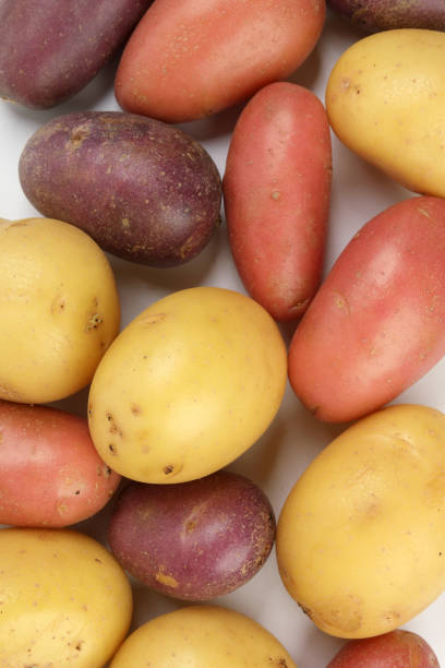 full frame purple potatoes at the farmer's market