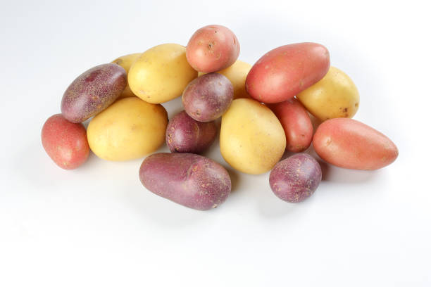 small baby potato on white background stock photo