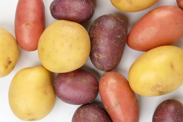 istock small baby potato on white background 1208253734