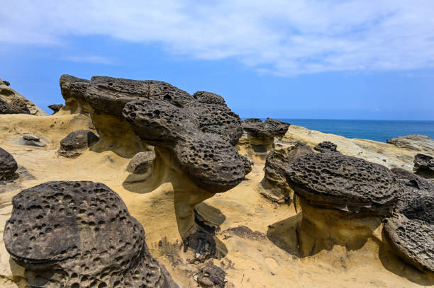 istock Mushroom rock by the sea. 1208260825