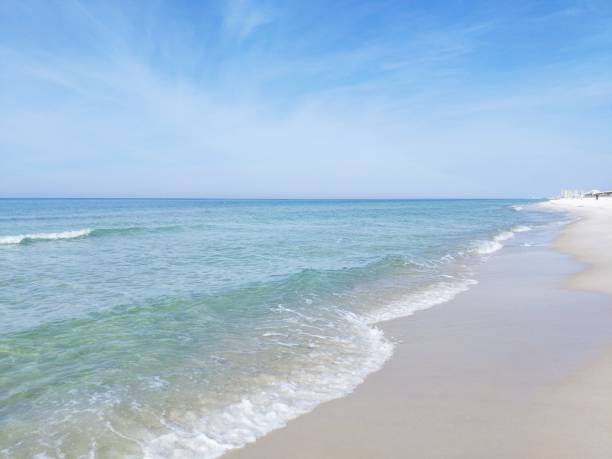 istock Sunny Coastline looking East - Kiska Beach, Florida 1208261801