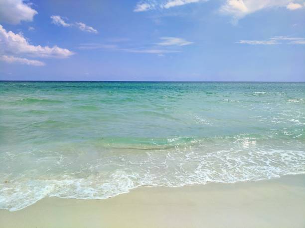 istock Gentle Froth - Kiska Beach, Florida 1208261804
