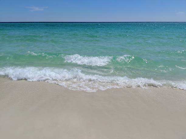 istock Beach Day Bliss in Florida 1208261806