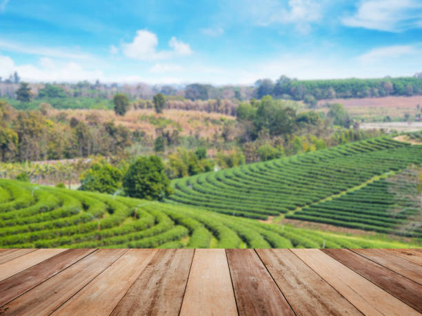 istock wooden top table over green tea field 1208263467