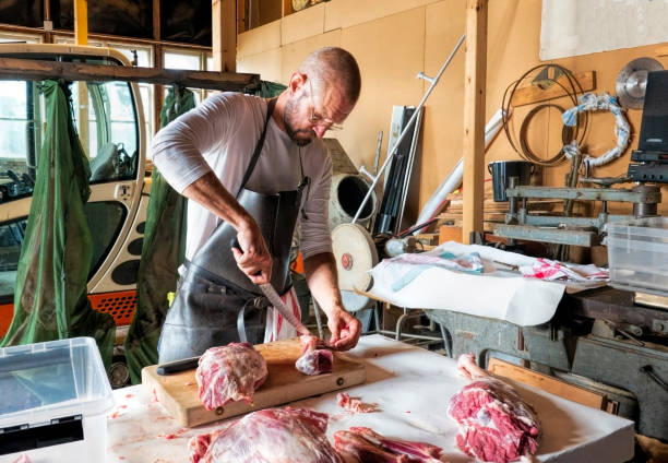 istock Mid adult man with beard cutting up recently slaughtered lamb. 1208269964