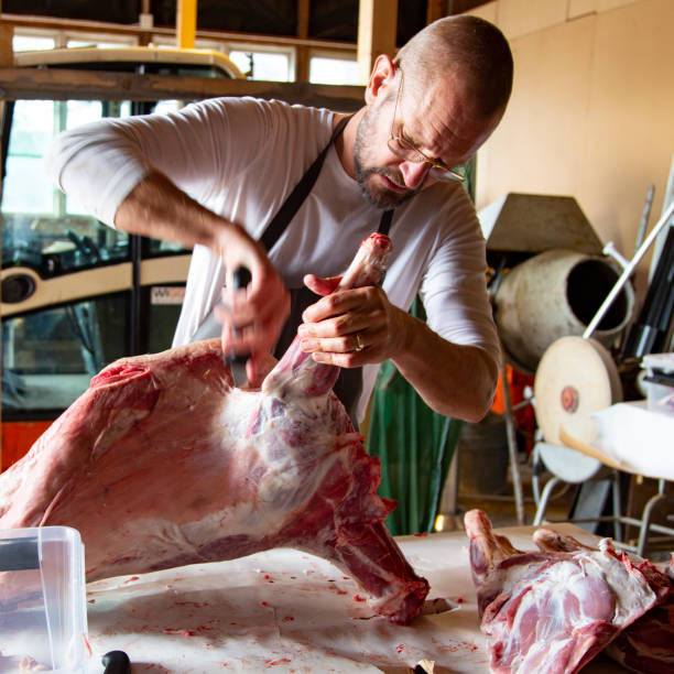 istock Mid adult man with beard cutting up recently slaughtered lamb. 1208269988