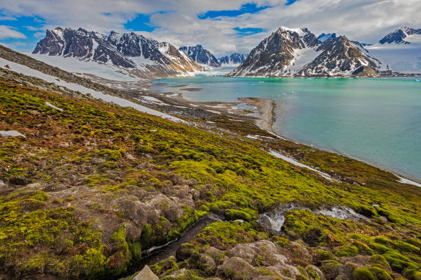 istock Waggonwaybreen Glacier in Magdelene Bay, Spitsbergen 1208272000