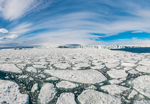 Drift ice and iceberg near Hochstetter Glacier in Svalbard.