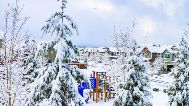 Seattle residential homes after snow storm