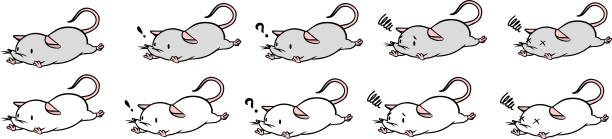 ilustrações, clipart, desenhos animados e ícones de ilustração vetorial do rato caído - mouse computer mouse pets white background