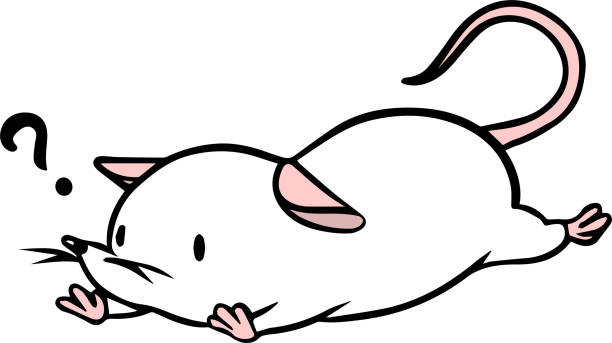 ilustrações, clipart, desenhos animados e ícones de ilustração vetorial do rato caído - mouse computer mouse pets white background