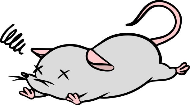 ilustrações, clipart, desenhos animados e ícones de ilustração vetorial do rato caído - mouse computer mouse pets white background