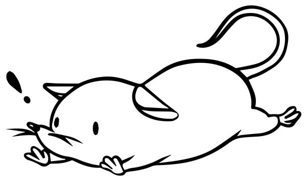 ilustrações, clipart, desenhos animados e ícones de ilustração vetorial do rato caído - mouse computer mouse pets white background