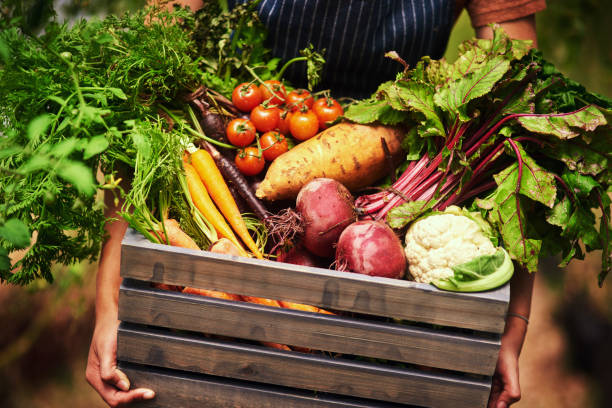 freshly grown by nature - beet vegetable box crate imagens e fotografias de stock