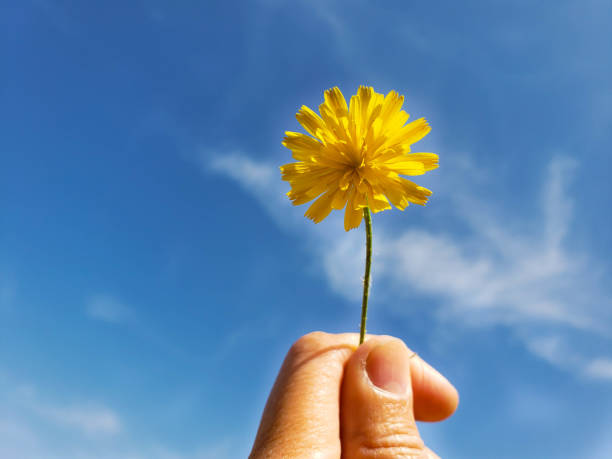 istock Flower in the sky 1208279188