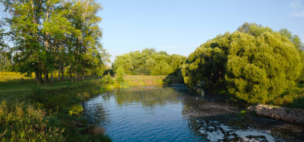istock Summer landscape with river and green trees 1208279218