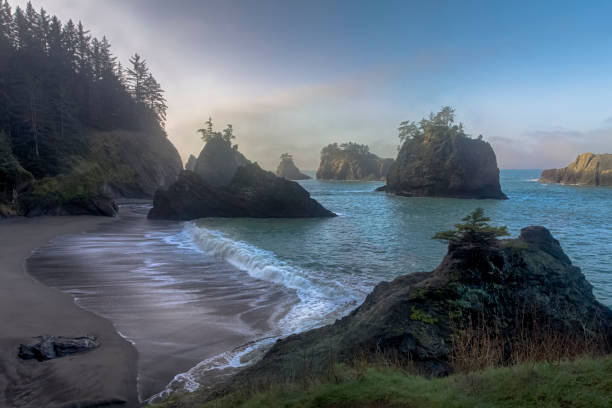 istock Beautiful morning mist landscape 1208290258