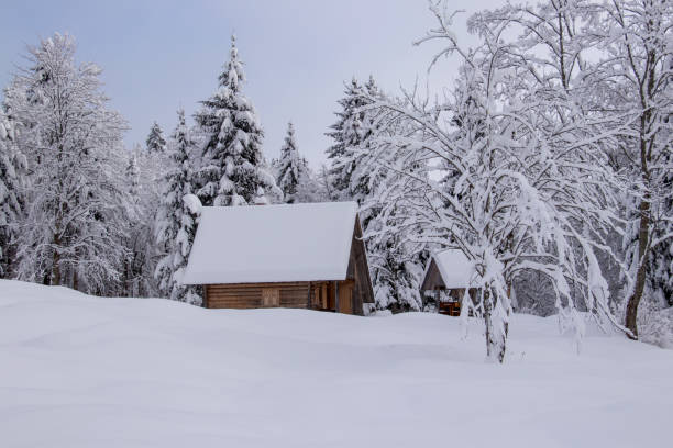 istock Mountain hut covered in snow 1208290290
