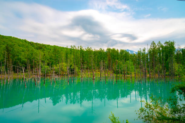 istock Blue pond ( Aoiike ) with reflection of tree in clear blue sky sunny day 1208294281