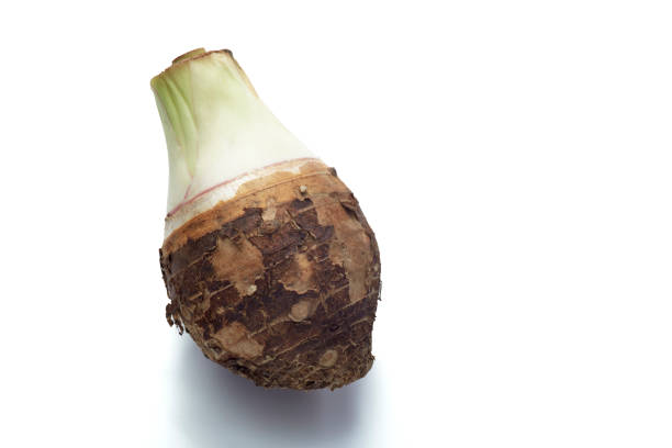 Close-Up fresh Taro isolated on white background, clipping path