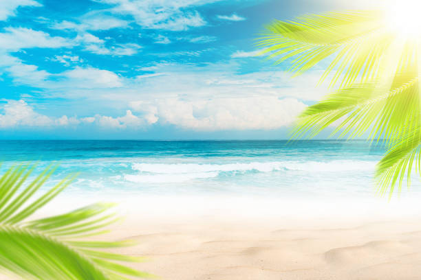 istock Blur beautiful nature green palm leaf on tropical beach with bokeh sun light wave abstract background 1208296695