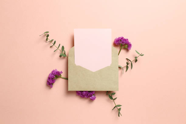 koperta kraftowa i pusta karta z kwiatem statice, liściem eukaliptusa na różowym tle. kompozycja kwiatowa, płaski lay, widok z góry, skopiuj przestrzeń - greeting card envelope letter pink zdjęcia i obrazy z banku zdjęć