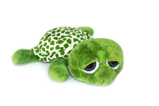 istock Image of green turtle doll isolated on white background. Animal dolls. 1208302149
