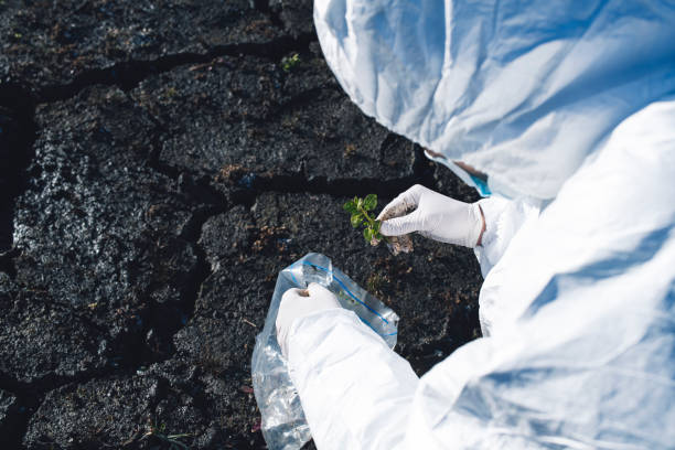 Scientist in protective gear examining plant
