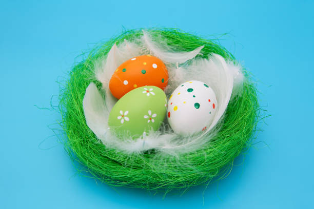 istock Easter eggs in bird's nest isolated on blue background 1208303347