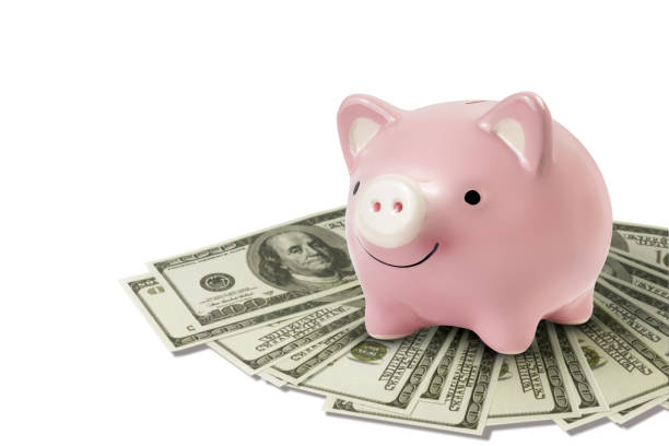 istock happy piggy bank on dollar bills on white backgroud 1208303349