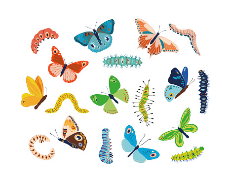 Set spring and summer colorful butterflies and caterpillar. Different cute silhouettes on white background. For festive card, logo, children, pattern, tattoo, decorative, concept. Vector illustration