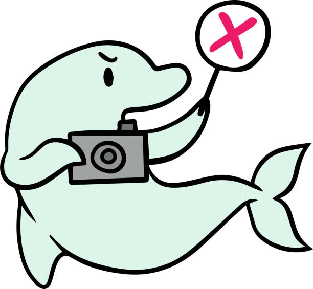 イルカのベクトルイラストは、撮影が禁止されていることを示しています - scuba diving flash点のイラスト素材／クリップアート素材／マンガ素材／アイコン素材