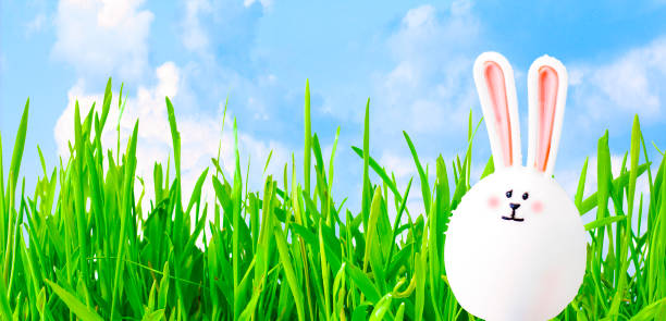 istock Easter card. Funny easter bunny in the shape of an easter egg, on the green young grass, against the background of the spring sky. Banner. Copy space 1208306648