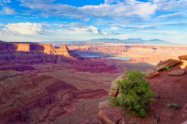 istock Evaporation pools in Dead Horse Point State Park 1208309962