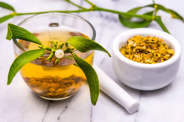 mistletoe, tea with mortar and frehs and dried mistletoe drug - european mistletoe imagens e fotografias de stock