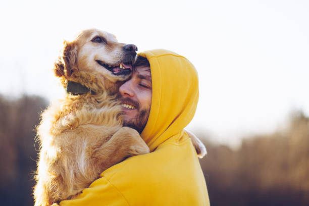 Man And Dog Enjoying Sunny Day In Nature Serbia, Dog, Men, Embracing, Golden Retriever dog agility photos stock pictures, royalty-free photos & images