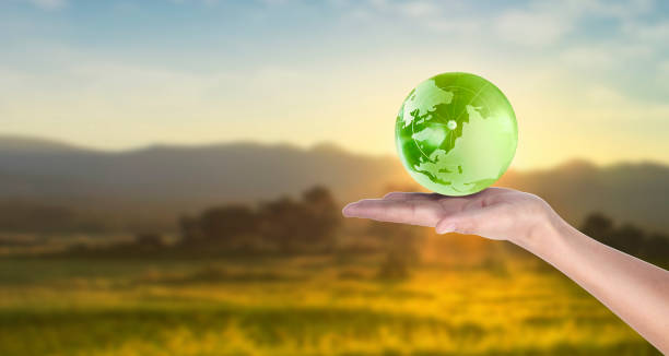 istock Globe ,earth in human hand. Earth image provided by Nasa 1208311996