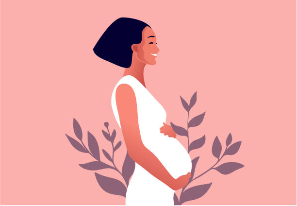Happy pregnant woman holds her belly. Vector illustration. Happy pregnant woman holds her belly. Active well fitted pregnant female character. Happy pregnancy. Flat cartoon vector illustration pregnant designs stock illustrations