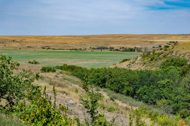 istock Spacious green landscape, relief land with many different vegetation. Grass, shrubs and trees in summer on a Sunny day 1208313298