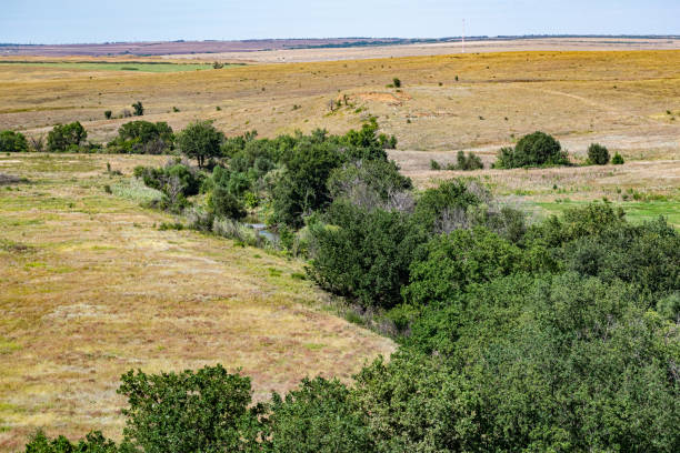 istock Spacious green landscape, relief land with many different vegetation. Grass, shrubs and trees in summer on a Sunny day 1208313306