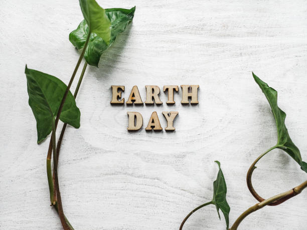 istock Earth Day. Beautiful greeting card. Top view 1208314681