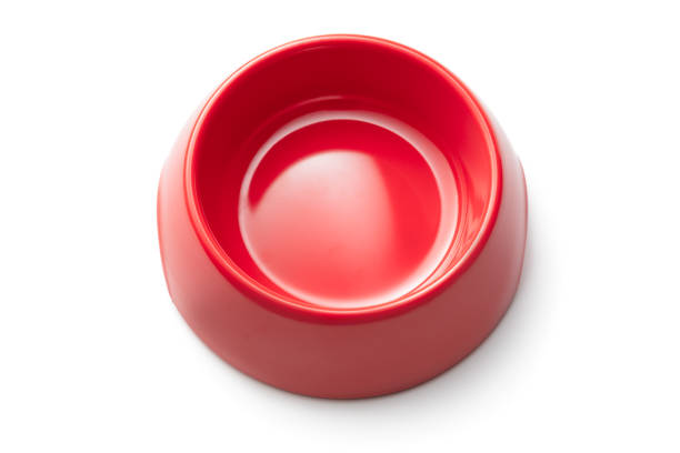 Pets: Red empty Pet Food Bowl Isolated on White Background can be used by dogs and cats
