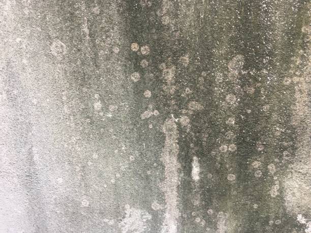 istock Material grungy wall texture background with copy space for design 1208321260