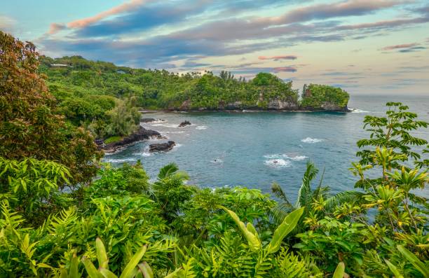 une belle baie isolée près de hilo, hawaii, avec une végétation tropicale luxuriante et des paysages pittoresques. - hilo photos et images de collection