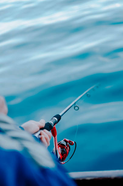 istock Fishing and sea 1208322322