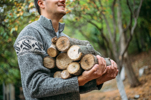 istock Handsome smiling man in a sweater carrying firewood 1208322323