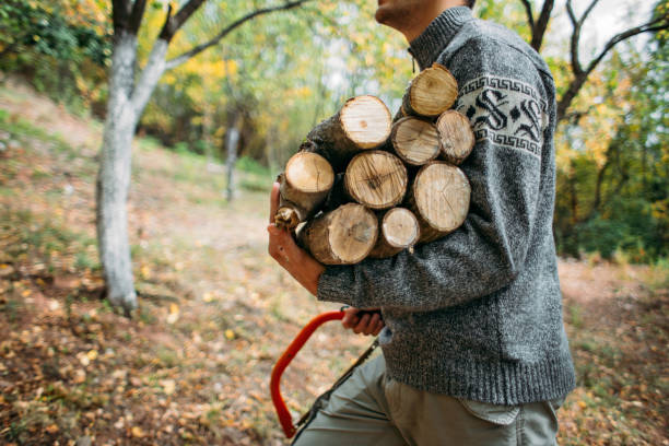 istock Handsome man carrying firewood in a forest 1208322434